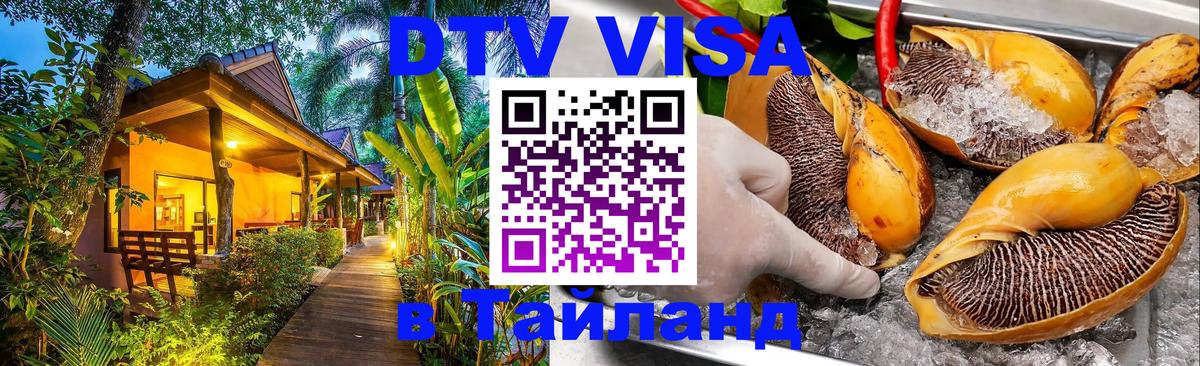 Оформление DTV визы под ключ: стоимость и тарифы, только загранпаспорт - 04.10.2025 